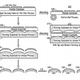 Illustration for article titled Apple Patents Screen Technology For Curved Touch Displays